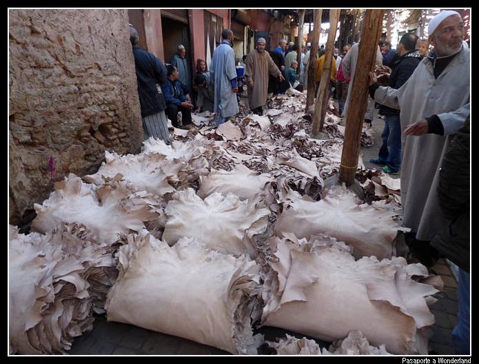 Pieles zoco Marrakech